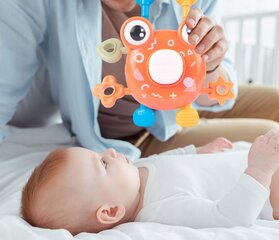 Zobgrauznis Montessori Krabis cena un informācija | Rotaļlietas zīdaiņiem | 220.lv