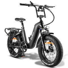 Elektriskais velosipēds FAFREES F20 Master, 20", melns, 500W, 22,5Ah цена и информация | Электровелосипеды | 220.lv