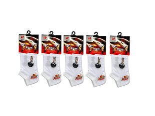 Комплект мужских носков (5 пар), размеры 39-42 цена и информация | Мужские носки | 220.lv