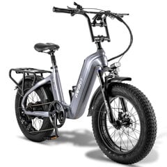 Электровелосипед Carbon Fafrees F20 Master, 20", серый, 500Вт, 22,5Ач цена и информация | Электровелосипеды | 220.lv