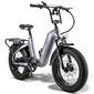 Elektriskais velosipēds FAFREES F20 Master, 20", pelēks, 500W, 22,5Ah cena un informācija | Elektrovelosipēdi | 220.lv