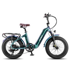 Elektriskais velosipēds FAFREES F20 Master, 20", zaļš, 500W, 22,5Ah cena un informācija | Elektrovelosipēdi | 220.lv