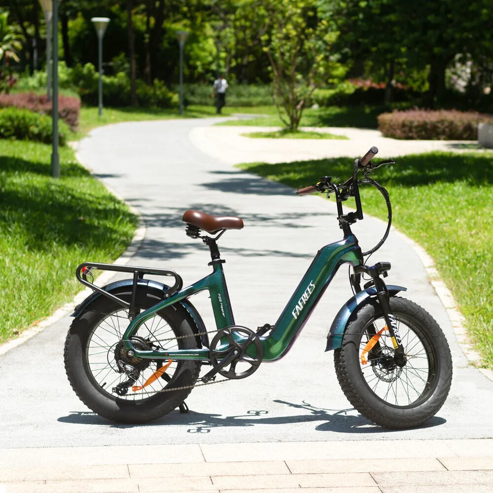 Elektriskais velosipēds FAFREES F20 Master, 20", zaļš, 500W, 22,5Ah цена и информация | Elektrovelosipēdi | 220.lv