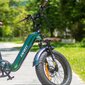 Elektriskais velosipēds FAFREES F20 Master, 20", zaļš, 500W, 22,5Ah cena un informācija | Elektrovelosipēdi | 220.lv