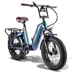 Elektriskais velosipēds FAFREES F20 Master, 20", zaļš, 500W, 22,5Ah цена и информация | Электровелосипеды | 220.lv