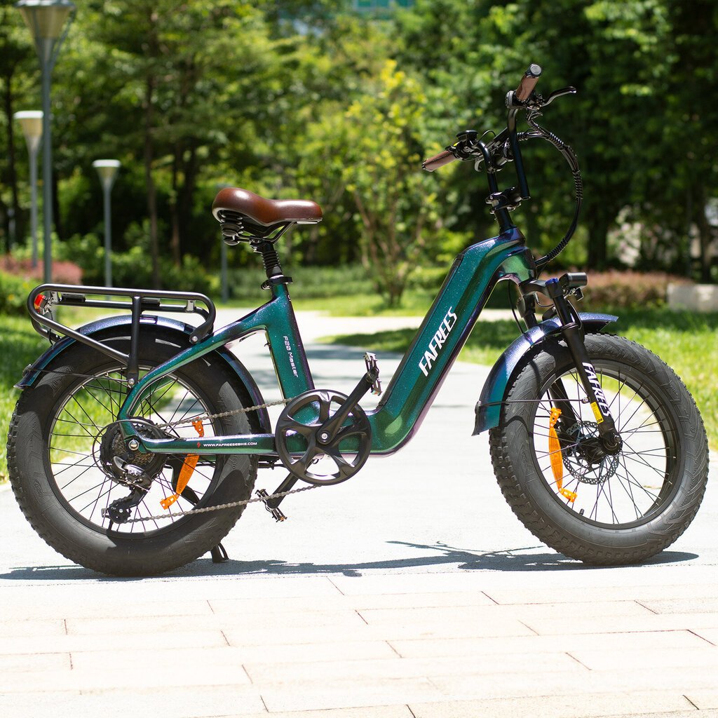 Elektriskais velosipēds FAFREES F20 Master, 20", zaļš, 500W, 22,5Ah цена и информация | Elektrovelosipēdi | 220.lv