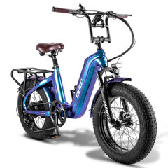 Elektriskais velosipēds FAFREES F20 Master, 20", zils, 500W, 22,5Ah cena un informācija | Elektrovelosipēdi | 220.lv