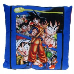 Dragon Ball spilvens, 40 x 40 cm цена и информация | Декоративные подушки и наволочки | 220.lv