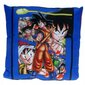 Dragon Ball spilvens, 40 x 40 cm cena un informācija | Dekoratīvie spilveni un spilvendrānas | 220.lv