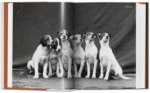 Dog in Photography 1839-Today: 1839-Today Multilingual edition цена и информация | Книги по фотографии | 220.lv