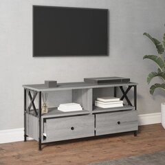 vidaXL TV skapītis, 90x33x45 cm, inženierijas koks, dzelzs, pelēks cena un informācija | TV galdiņi | 220.lv