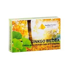 Ginkgo Biloba tabletes, N30 цена и информация | Витамины, пищевые добавки, препараты для хорошего самочувствия | 220.lv