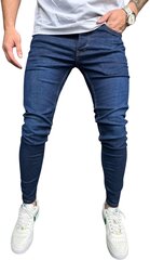Джинсы для мужчин 2Y Premium B8436/K900/30, синие цена и информация | Мужские джинсы | 220.lv