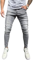 Джинсы для мужчин 2Y Premium B8669/K50, серые цена и информация | Мужские джинсы | 220.lv