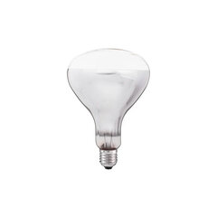 Special Standard Spuldze 375W E27 R125 Infrared Industrial Heat Incandescent THORGEON cena un informācija | Spuldzes | 220.lv