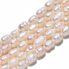 Dabīgās saldūdens pērles 12-6x6-5 mm cena un informācija | Rotu veidošana, pērļošana | 220.lv