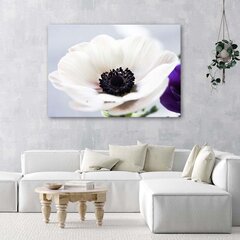 Glezna uz audekla, Balta anemone uz pelēka fona цена и информация | Картины | 220.lv