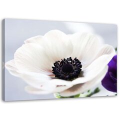 Glezna uz audekla, Balta anemone uz pelēka fona цена и информация | Картины | 220.lv