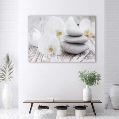 Glezna uz audekla, Balta orhideja un akmeņi cena un informācija | Gleznas | 220.lv
