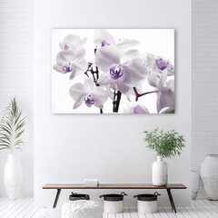 Glezna uz audekla, Balta un violeta orhideja cena un informācija | Gleznas | 220.lv