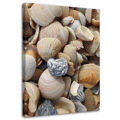 Glezna uz audekla, Gliemenes un akmeņi pludmalē cena un informācija | Gleznas | 220.lv