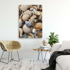 Glezna uz audekla, Gliemenes un akmeņi pludmalē cena un informācija | Gleznas | 220.lv