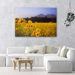 Glezna uz audekla, Lauki ar dzelteniem ziediem цена и информация | Картины | 220.lv