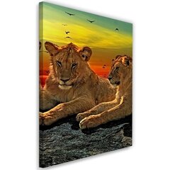 Glezna uz audekla, Lauva savannā цена и информация | Картины | 220.lv