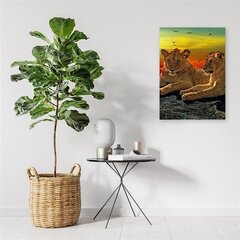 Glezna uz audekla, Lauva savannā цена и информация | Картины | 220.lv