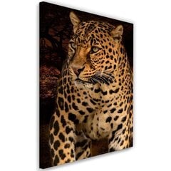 Glezna uz audekla, Leoparda fotogrāfija uz melna fona cena un informācija | Gleznas | 220.lv
