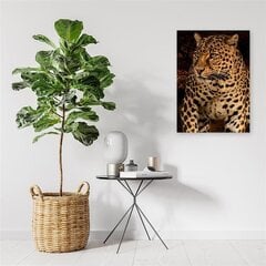 Репродукция Тигр цена и информация | Картины | 220.lv