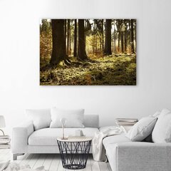 Glezna uz audekla, Mežā цена и информация | Картины | 220.lv