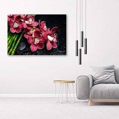 Glezna uz audekla, Orhideja uz bambusa cena un informācija | Gleznas | 220.lv