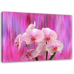 Glezna uz audekla, Orhidejas violetā un rozā krāsā cena un informācija | Gleznas | 220.lv