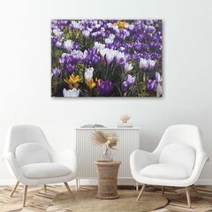 Glezna uz audekla, Pavasara krokusi pļavā цена и информация | Картины | 220.lv