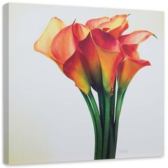 Glezna uz audekla, Sarkanu ziedu pušķis цена и информация | Картины | 220.lv