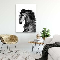 Glezna uz audekla, Savvaļas zirgs cena un informācija | Gleznas | 220.lv