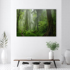 Glezna uz audekla, Tropu džungļu mežs cena un informācija | Gleznas | 220.lv