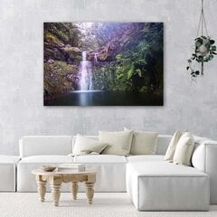 Glezna uz audekla, Ūdenskritums mežā цена и информация | Картины | 220.lv