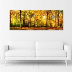 Glezna uz audekla, Zeltainais mežs цена и информация | Картины | 220.lv