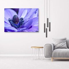 Glezna uz audekla, Zils un violets zieds cena un informācija | Gleznas | 220.lv