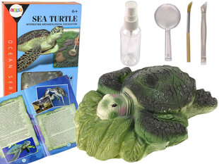 Образовательный набор, черепаха цена и информация | Развивающие игрушки | 220.lv