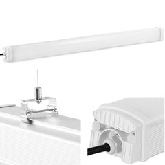 LED Lampas gaismeklis, 120 cm, 60 W цена и информация | Монтируемые светильники, светодиодные панели | 220.lv
