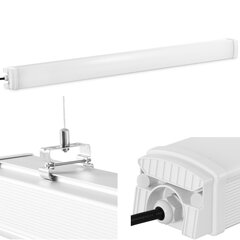 LED lampas gaismeklis, 120 cm, 40 W цена и информация | Монтируемые светильники, светодиодные панели | 220.lv