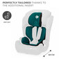 Autokrēsliņš Kinderkraft Comfort Up i-Size, 9-36 kg, green cena un informācija | Autokrēsliņi | 220.lv