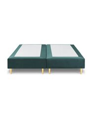 Основание кровати Whale, 200х140х34 см, зеленый цвет цена и информация | Кровати | 220.lv