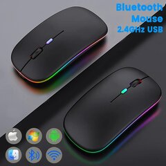 RoGer PM2 Silent Беспроводная мышь для компьютера 1600DPI / 2.4GHz / Bluetooth / LED цена и информация | Мыши | 220.lv