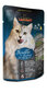 Leonardo Trout & catnip kaķu konservi ar foreli un kaķumētru 85 g × 1 gab. цена и информация | Konservi kaķiem | 220.lv