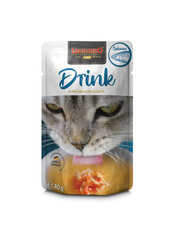 Leonardo Drink Salmon kaķu zupa ar lasi 40g × 20gab cena un informācija | Konservi kaķiem | 220.lv