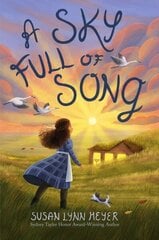 Sky Full of Song цена и информация | Книги для подростков и молодежи | 220.lv